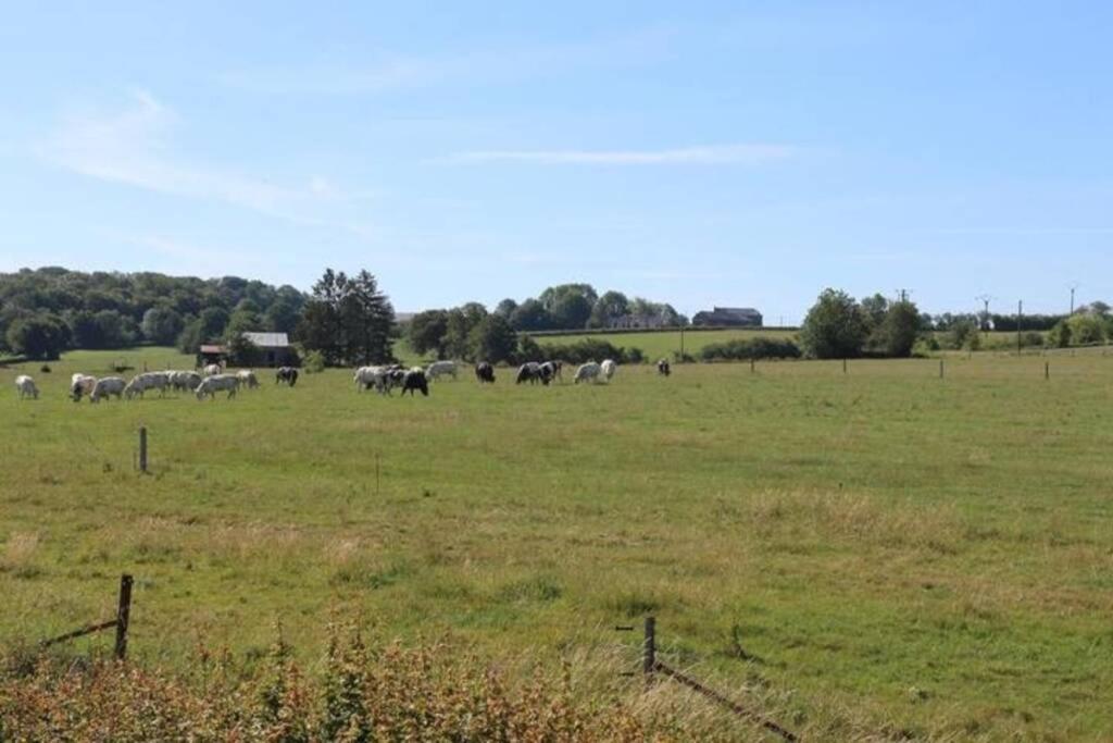 Apartamento Lo'rée des prés Grandrieu Exterior foto